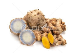 ガジュツ ( Galingale )