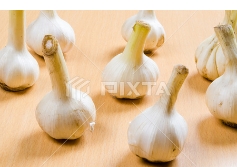 ニンニク ( Garlic )